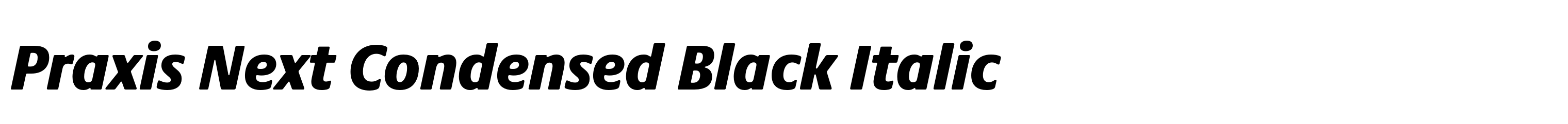 Praxis Next Condensed Black Italic